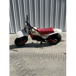 1986 Yamaha Big Wheel 80cc