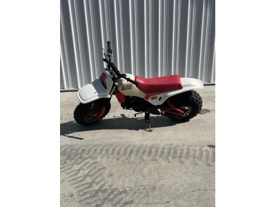 1986 Yamaha Big Wheel 80cc